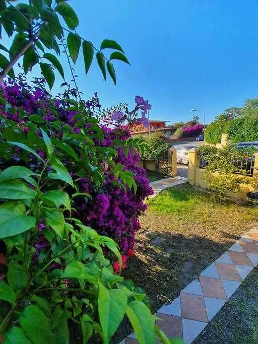 Casa Vacanze Lolivastro Arbatax Holiday home